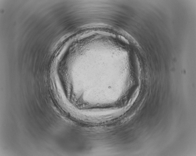 X0000078250937200611251300