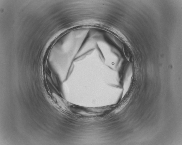 X0000078250939200611251300