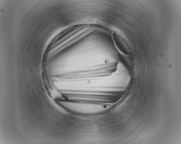 X0000078250942200611251300