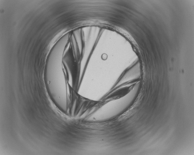 X0000078250946200611251300