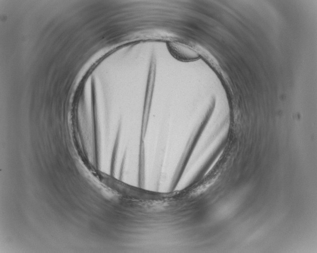 X0000078250947200611251300