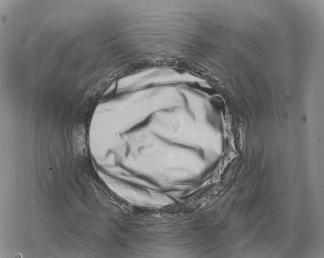 X0000078250963200611251259
