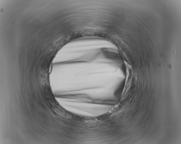 X0000078250964200611251259