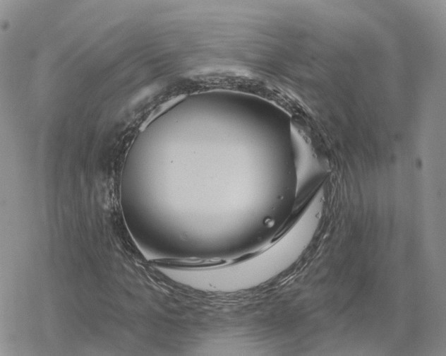 X0000078250965200611251259