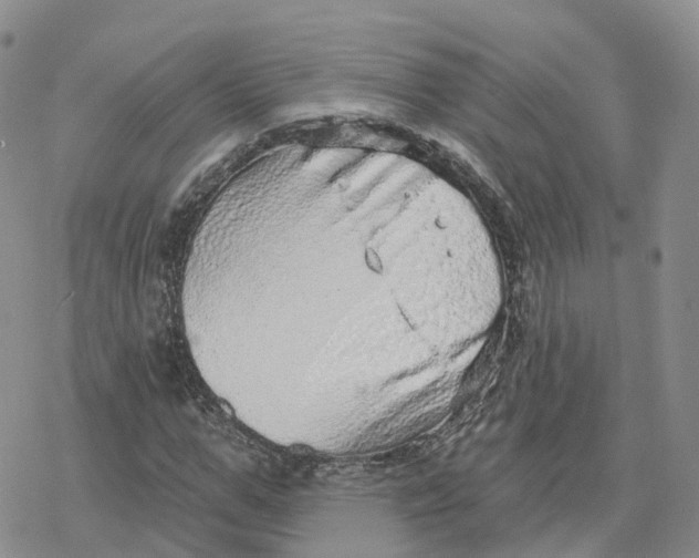 X0000078250967200611251259