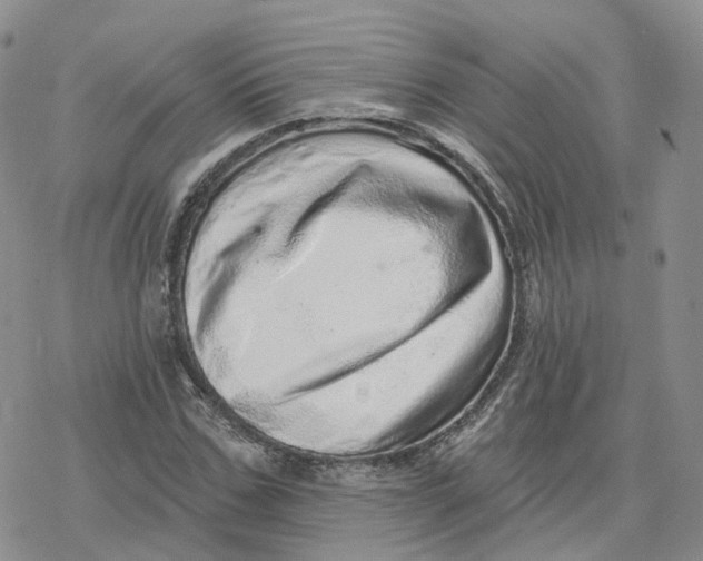 X0000078250971200611251259