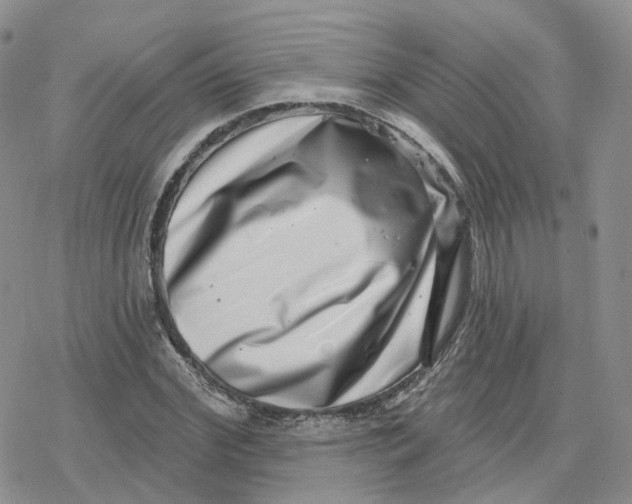 X0000078250972200611251259