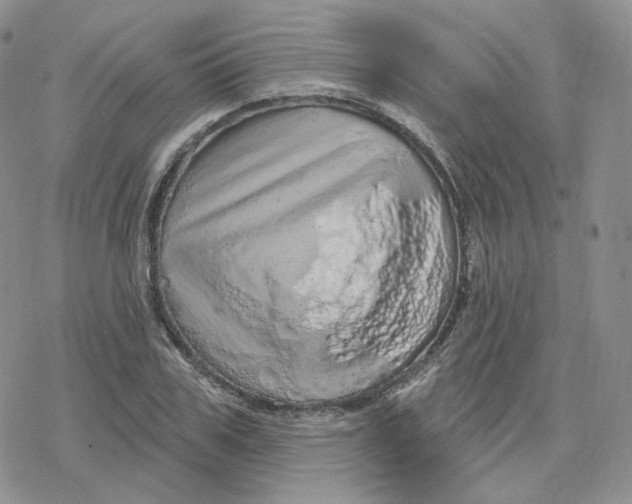 X0000078250979200611251259