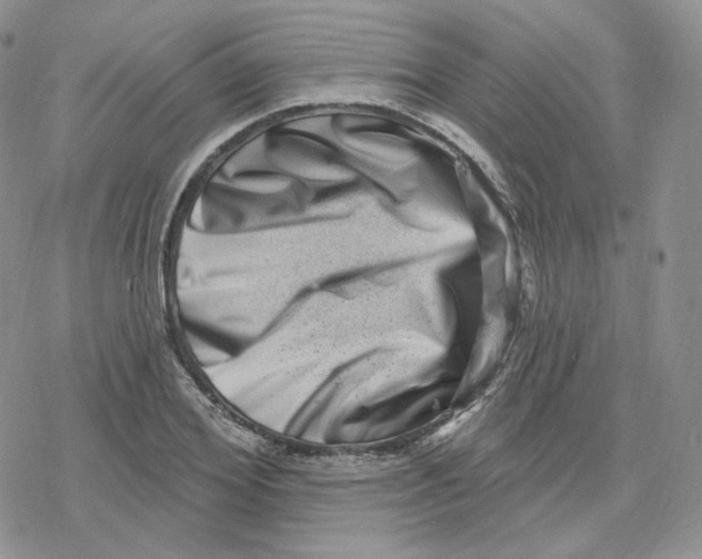 X0000078250980200611251259