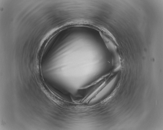 X0000078250981200611251259
