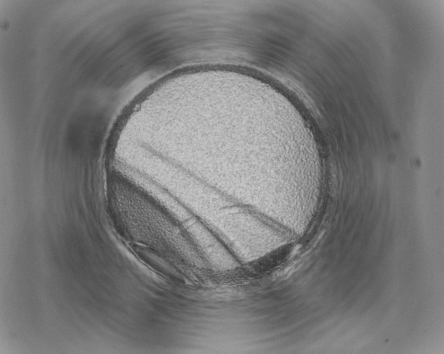 X0000078250982200611251259