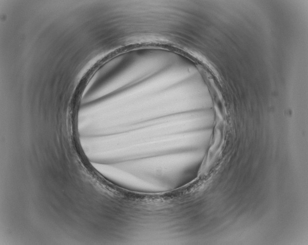 X0000078250983200611251259