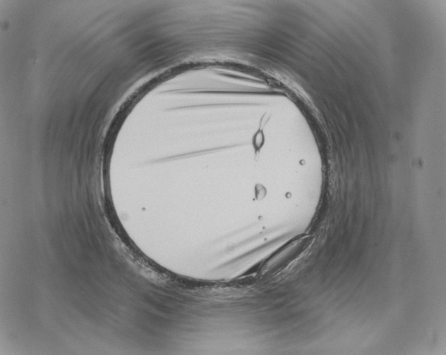 X0000078250984200611251259