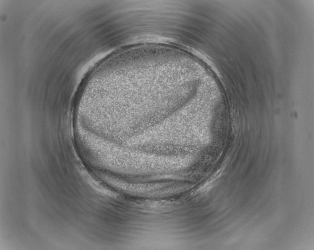 X0000078250987200611251259