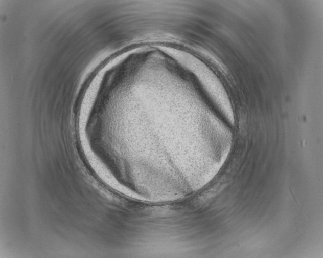 X0000078250990200611251259