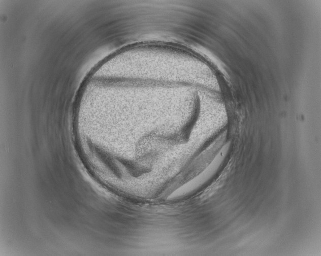 X0000078250991200611251259