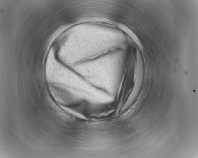 X0000078251004200611251259