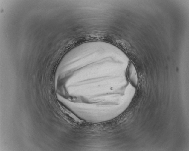 X0000078251009200611251258