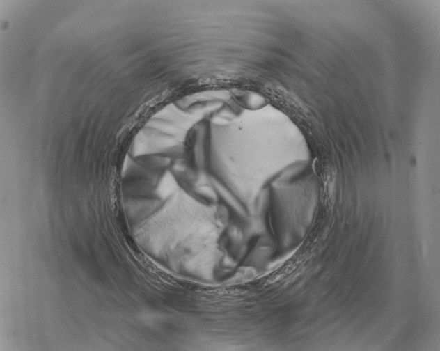 X0000078251012200611251258