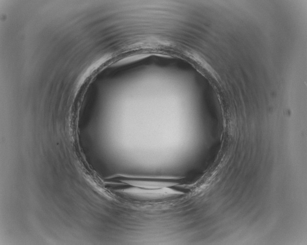 X0000078251026200611251258