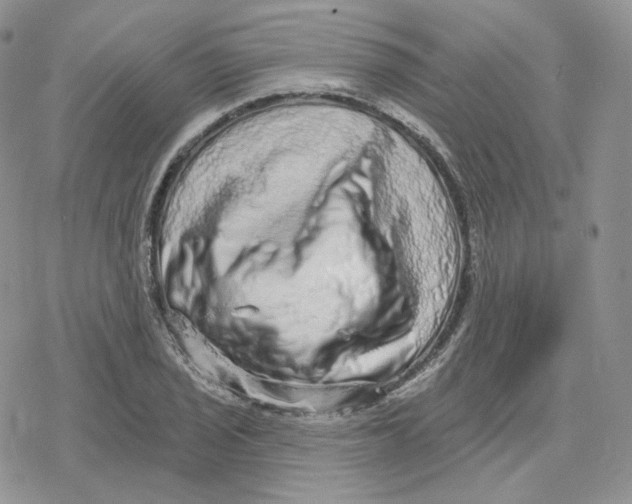X0000078251029200611251258