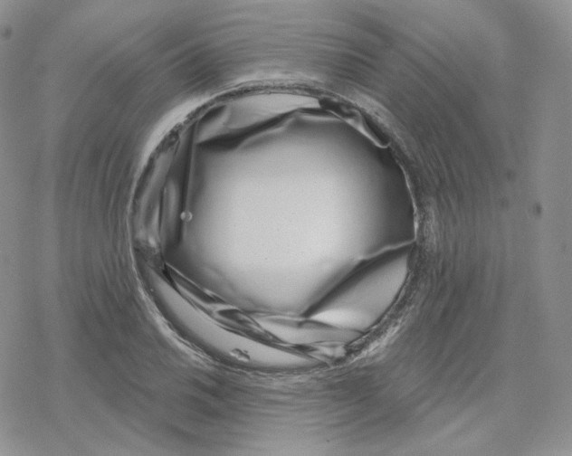 X0000078251030200611251258