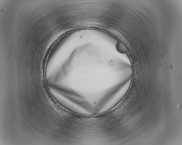 X0000078251031200611251258