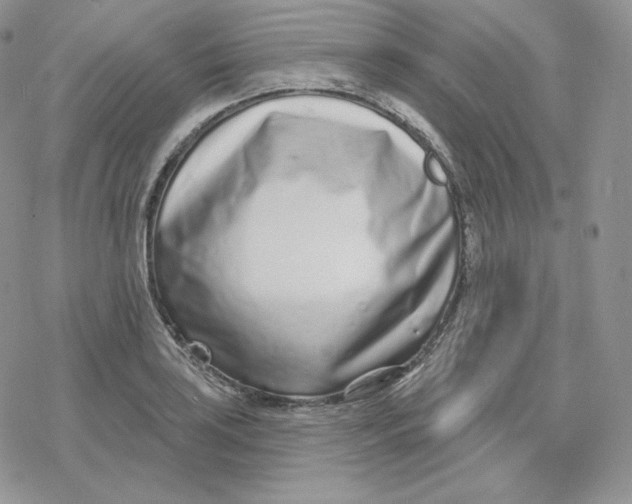 X0000078251035200611251258