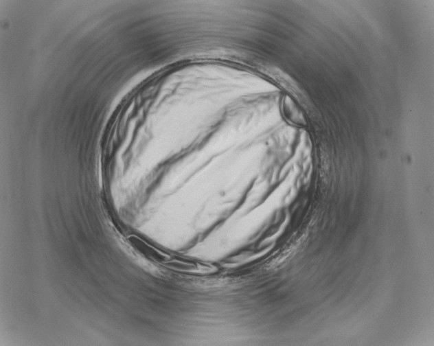 X0000078251036200611251258