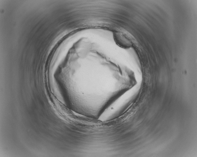 X0000078251039200611251258
