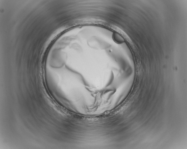 X0000078251043200611251259