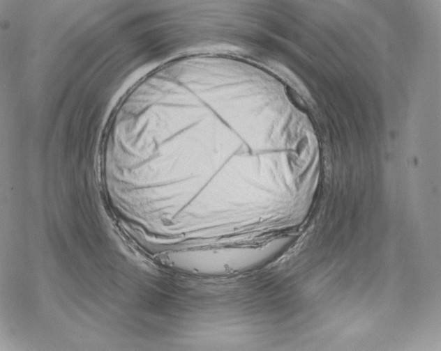 X0000078251044200611251259