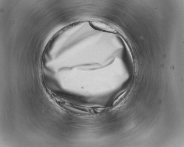 X0000078251048200611251259