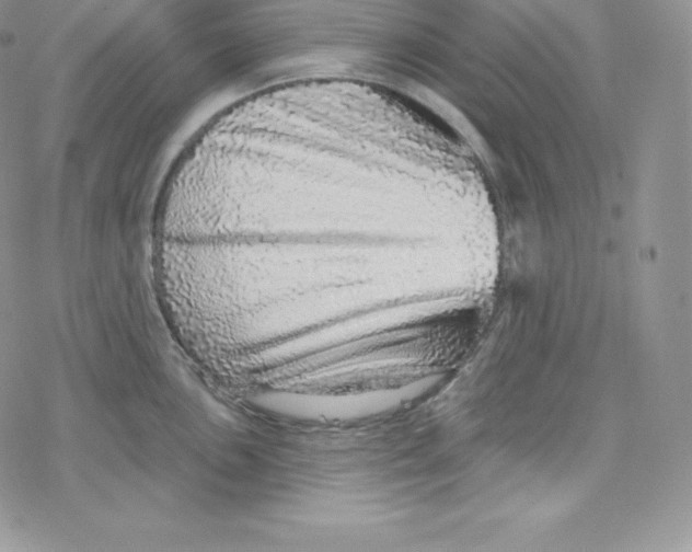 X0000078251051200611251259
