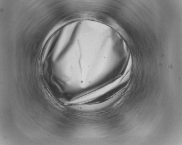 X0000078251052200611251259