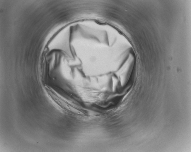 X0000078251056200611251259