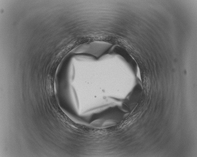 X0000078251058200611251258