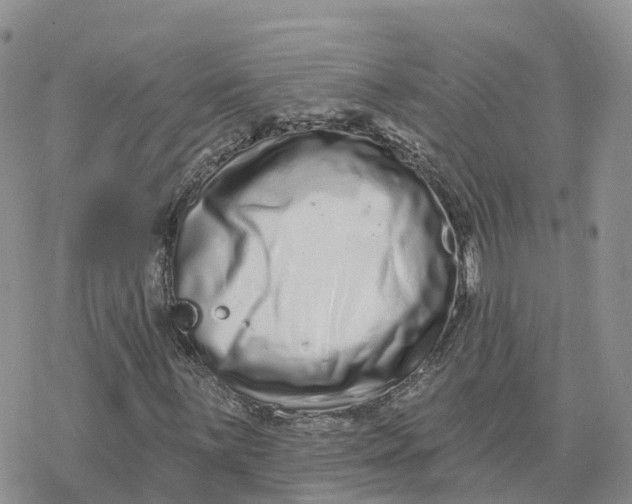 X0000078251059200611251258
