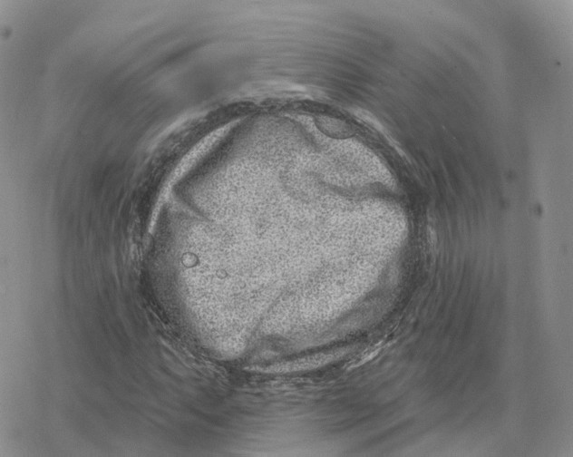 X0000078251063200611251258