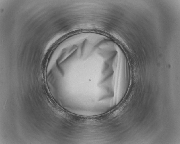 X0000078251070200611251258