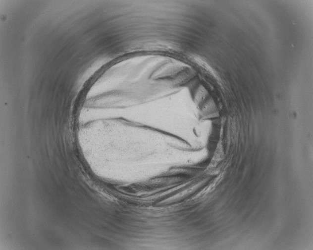 X0000078251071200611251258