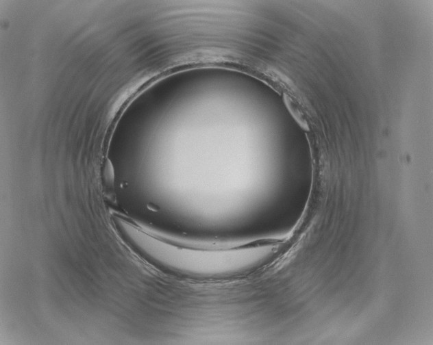 X0000078251081200611251258