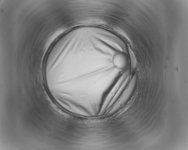 X0000078251087200611251257