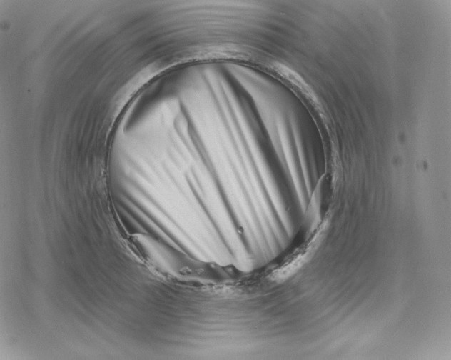 X0000078251089200611251257