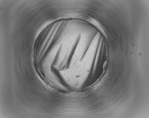 X0000078251093200611251257