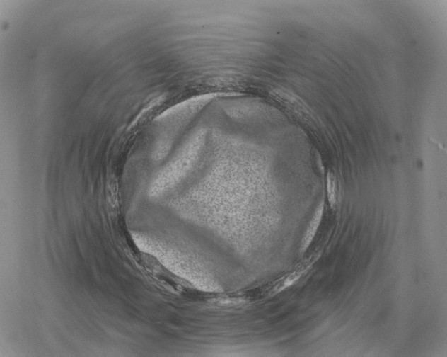 X0000078251107200611251256