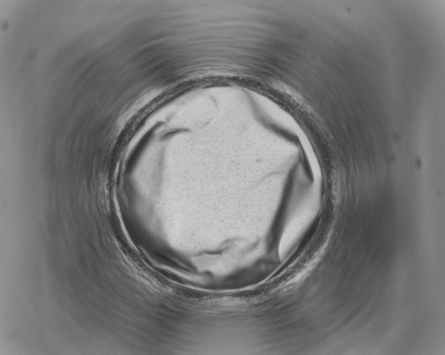 X0000078251113200611251257