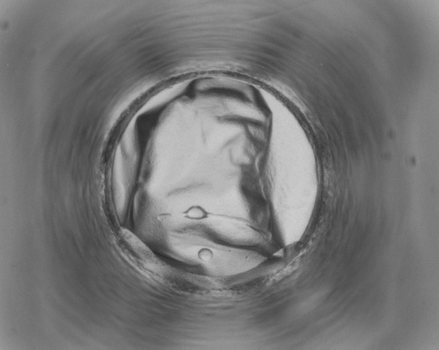 X0000078251119200611251257