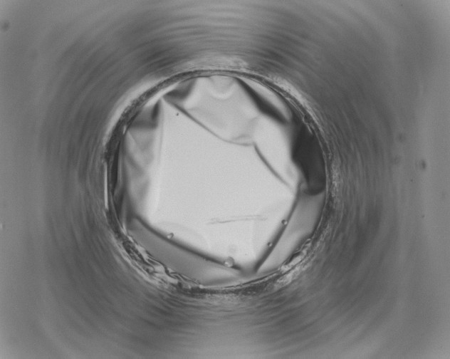 X0000078251123200611251257