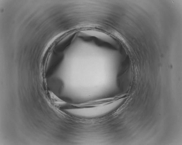 X0000078251124200611251257